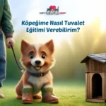 Köpeğime Nasıl Tuvalet Eğitimi Verebilirim, Köpek Bakımı, Köpek Maması, Çekmeköy Çizmeli Kedi Veteriner Kliniği