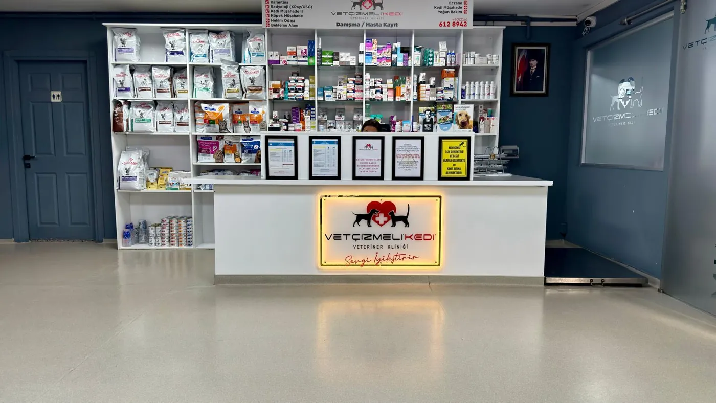 Çekmeköy Vet Çizmeli Kedi Veteriner Kliniği resepsiyon alanı