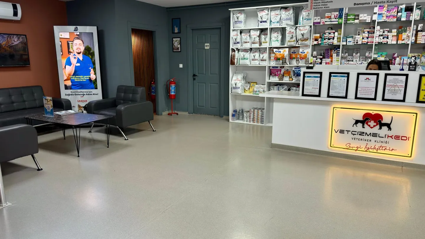 Çekmeköy Çizmeli Kedi Veteriner Kliniği muayene alanı