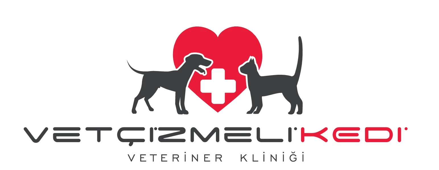 Vet Çizmeli Kedi Veteriner Kliniği